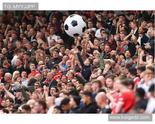 球迷炸锅:太阳这一行为引热议! 球迷炸锅:太阳这一行为引热议!